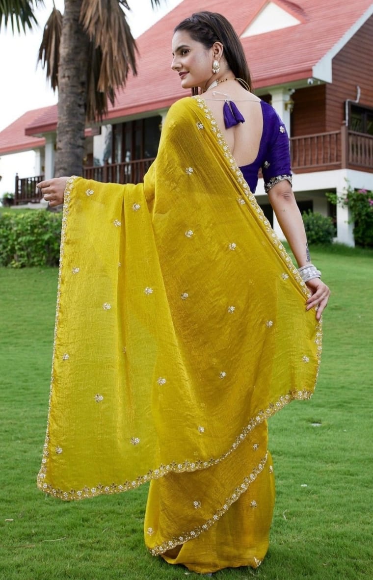 Combo of 2 Most Viral Embroidered Sarees with Moti & Cutwork Border | Premium Wedding & Party Wear Deal