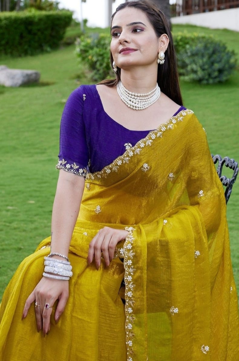 Combo of 2 Most Viral Embroidered Sarees with Moti & Cutwork Border | Premium Wedding & Party Wear Deal